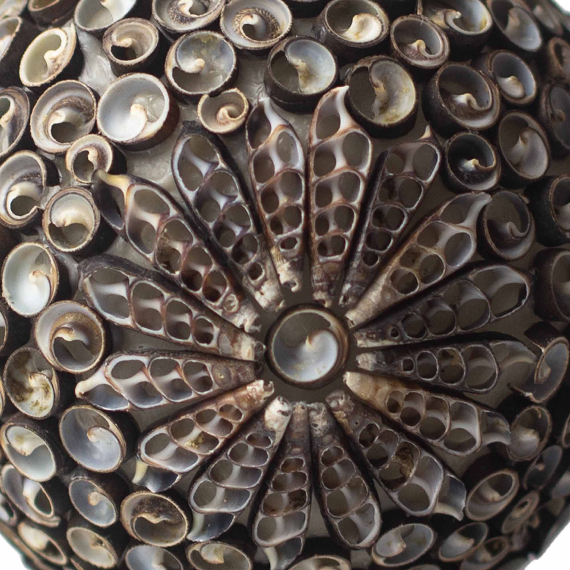 Boho Lampa od Morskih Školjki - Čokoladni Twist - Kocka - 15cm