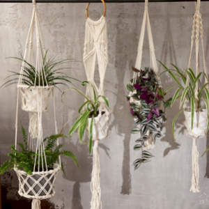 Macrame Pot Holder