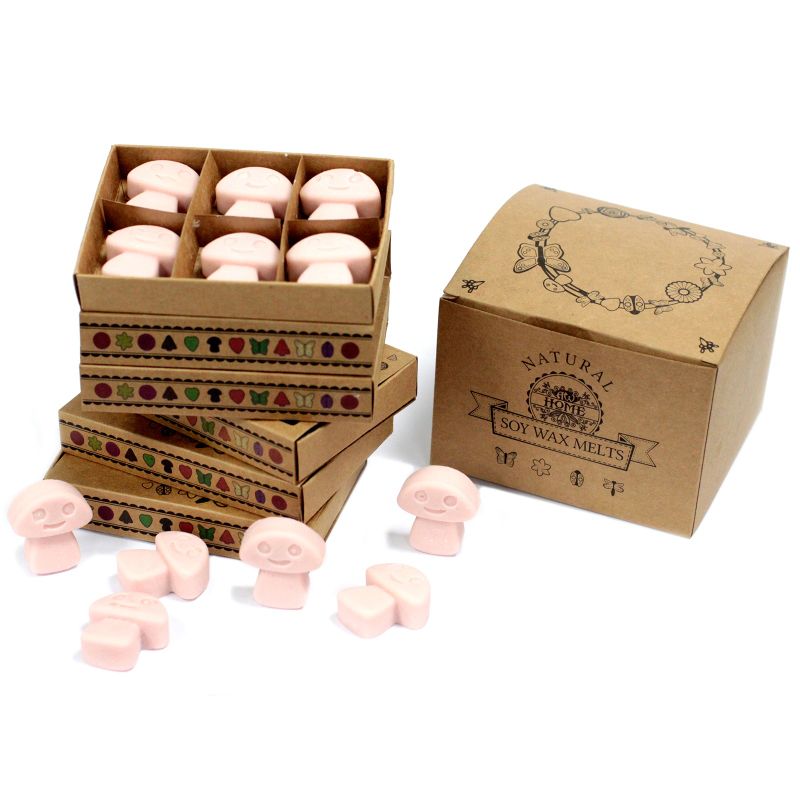 Boîte de 6 Fondants en Cire Soja -  Gingembre