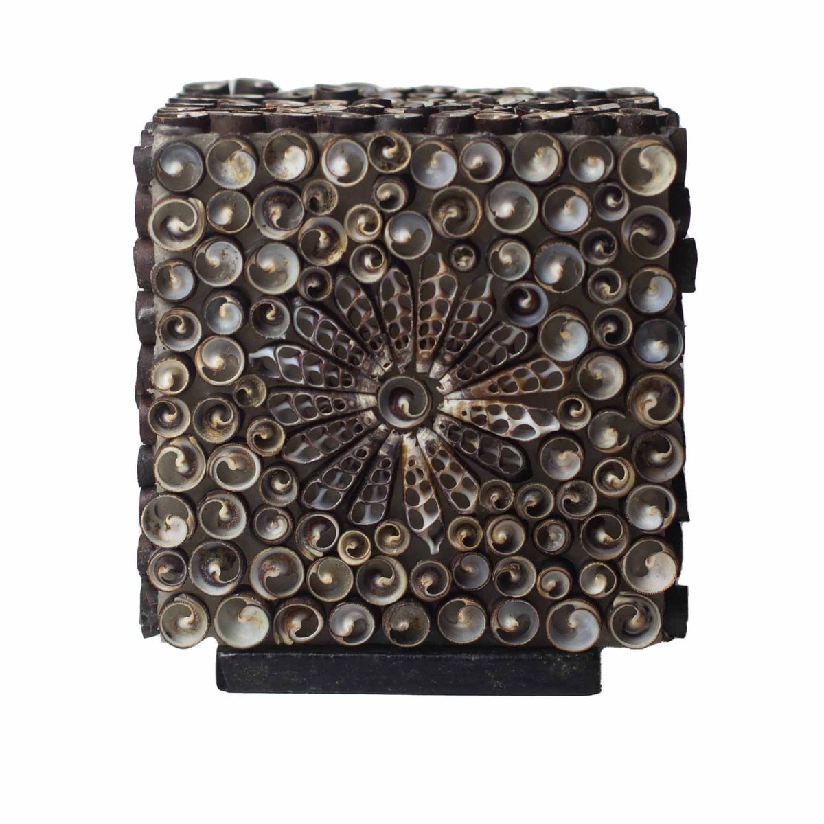 Lâmpada Boho Sea Shell - Chocolate Twist Quadrada - 15 cm