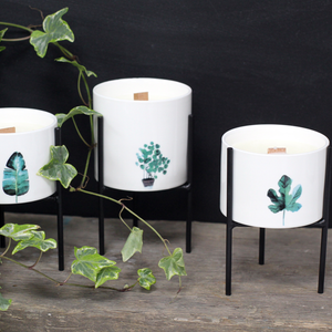 Botanical Candles