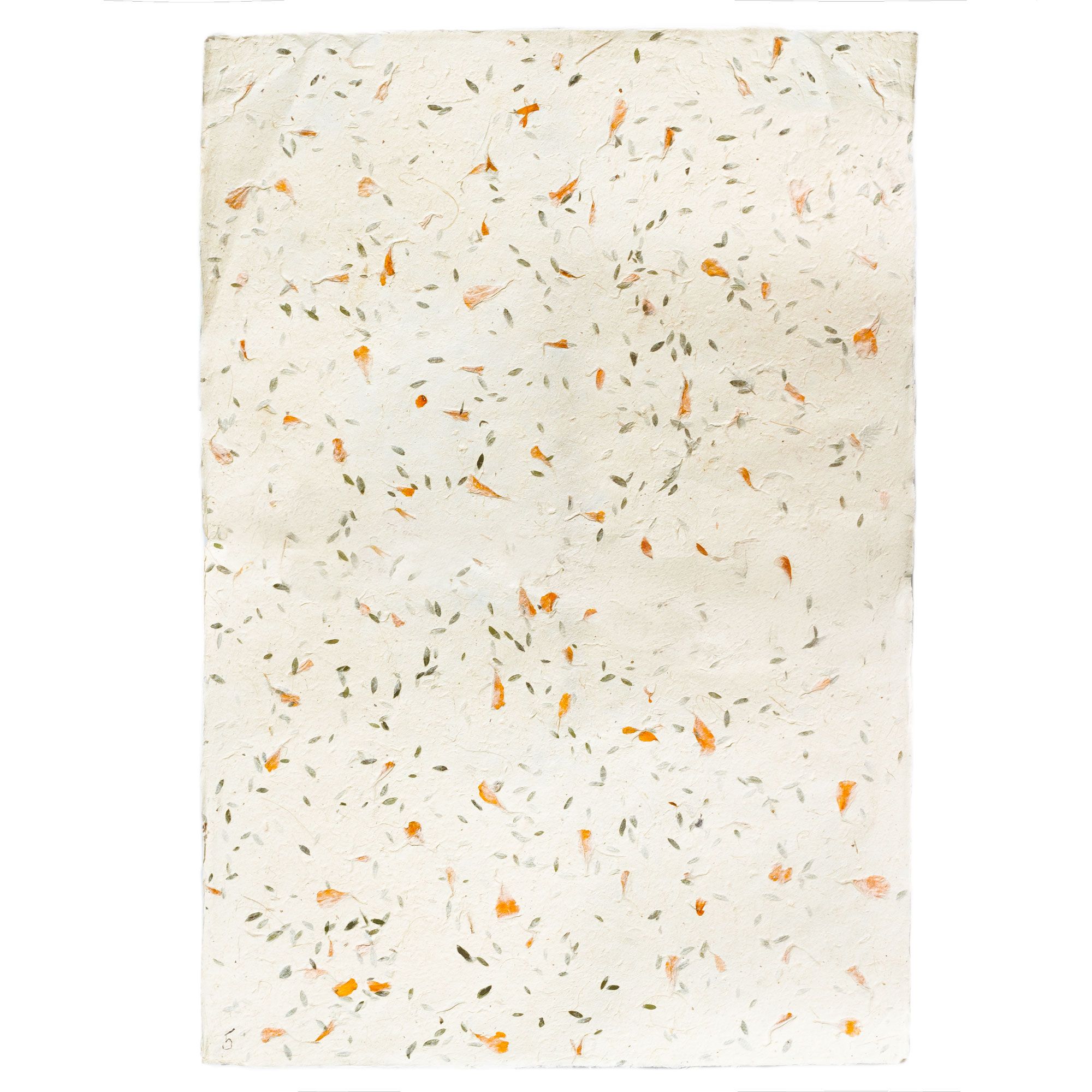 Lokta Hantverks-/Omslagspapper (51x76cm) - Blandat Gräs