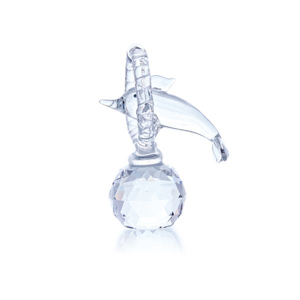 Golfinho pulando no aro (pequeno)