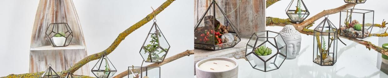 Glass Terrarium - Large Pyramid
