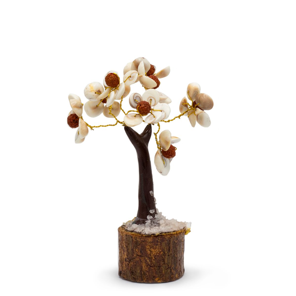 Árvores de Pedra Gomati Chakra Círculo com Rudraksha Médio - (45 pedras)
