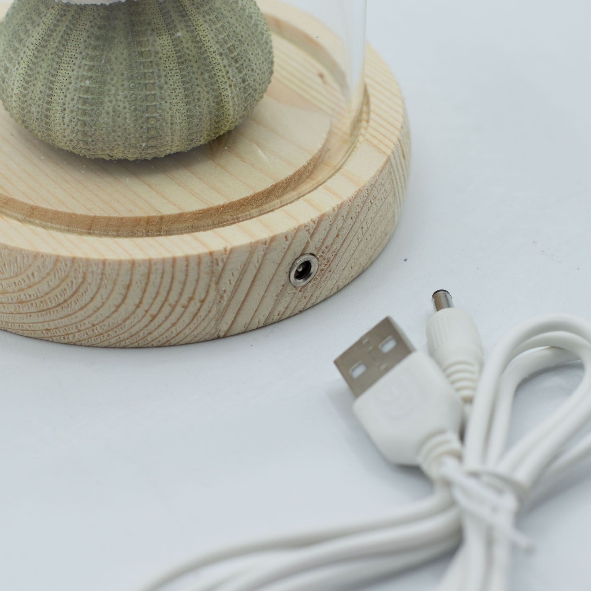 Lysande Glaskupa med Blommor - 3 Sjöborrar - LED USB