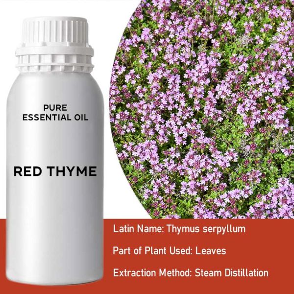 Huile Essentielle de Thym Rouge 0,5kg