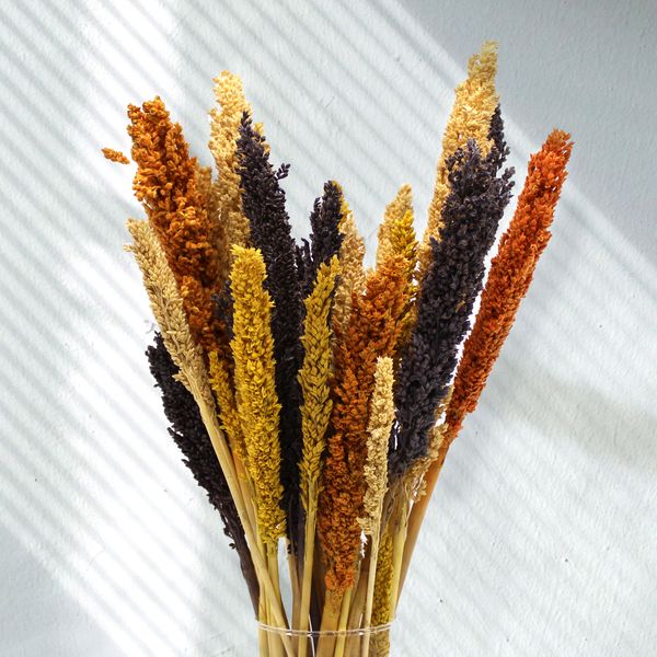 Bouquet d'Herbes Séchées - Cantal - Orange