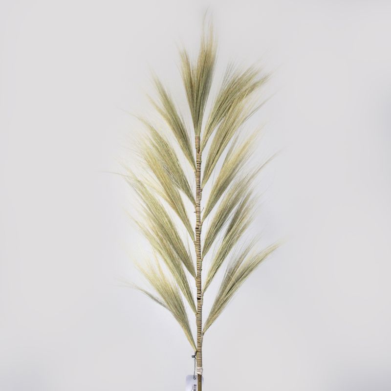 Rayung Grass Blond - 1,6 м