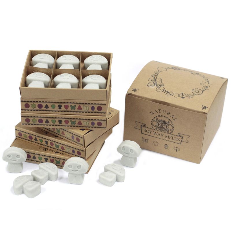 Boîte de 6 Fondants en Cire Soja - Patchouli Foncé