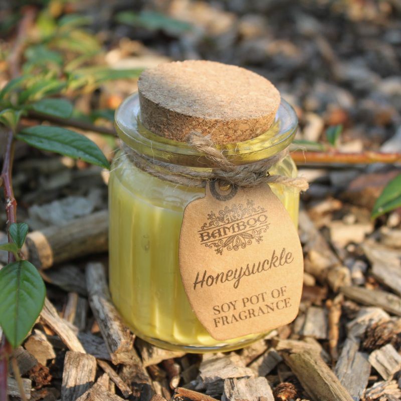 Soy Pot of Fragrance Candle Starter