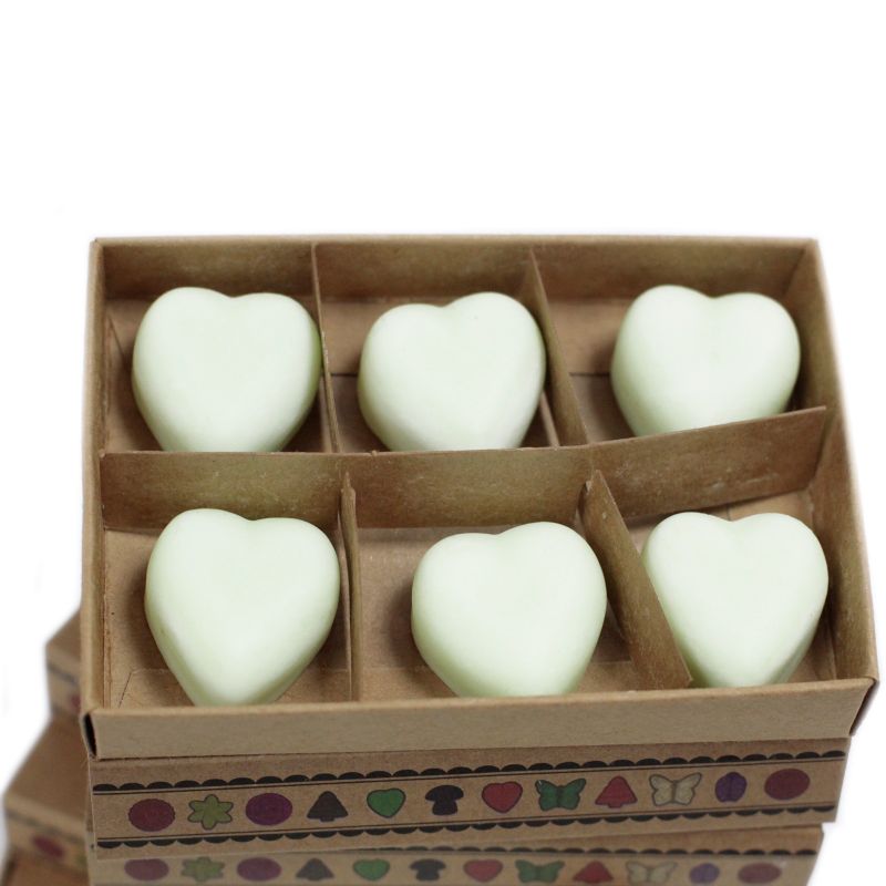 Boîte de 6 Fondants en Cire Soja -  Pomme Épicée