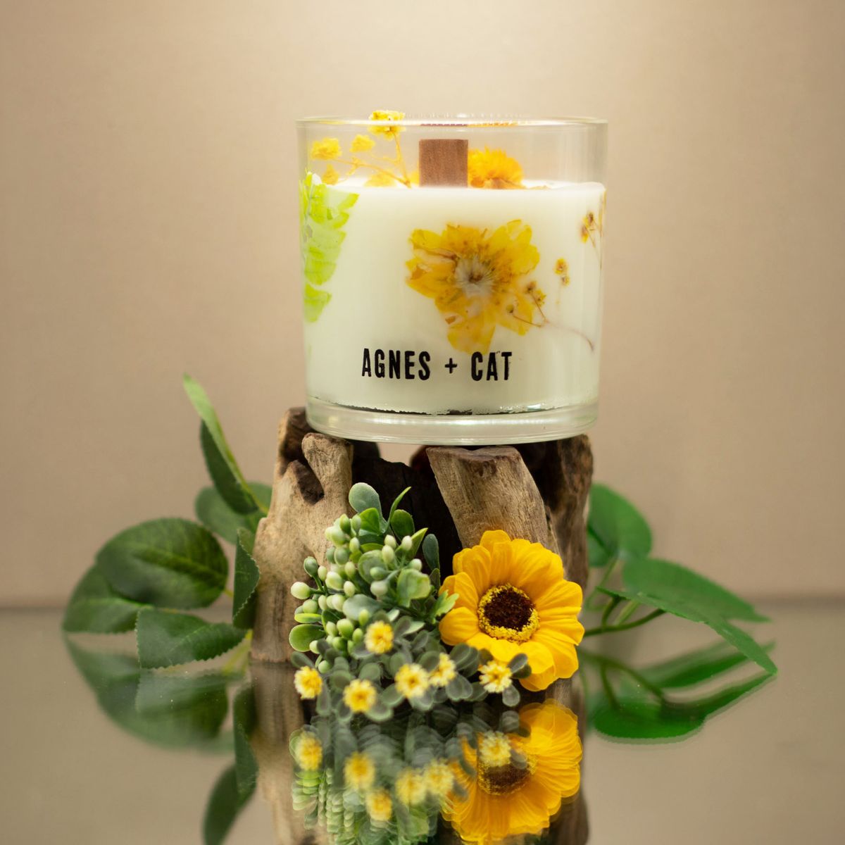 Velas Botânicas de Cera de Soja Agnes & Cat