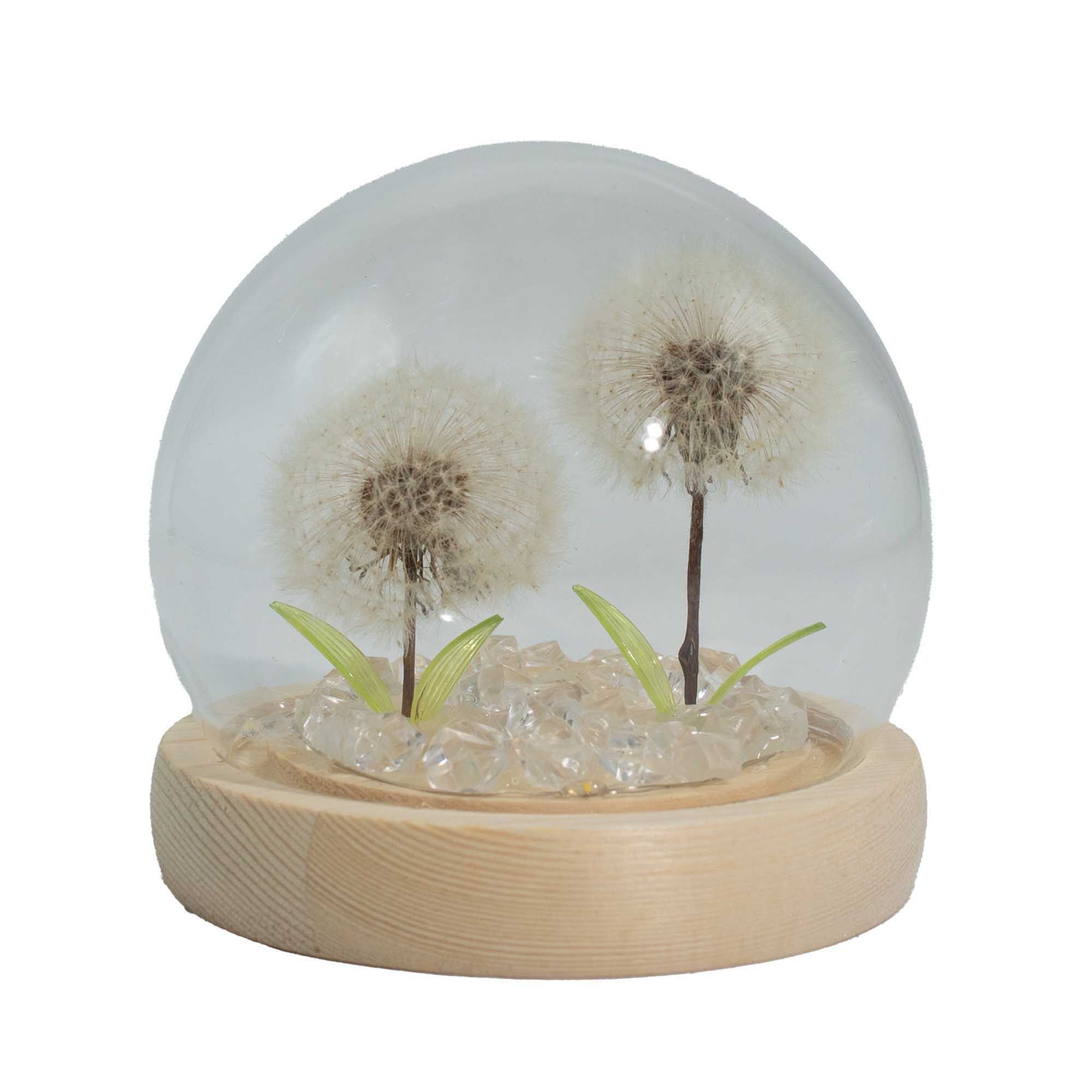Glass Dome Garden Light with 2 Dandelions - Natural Wood Base - USB LED