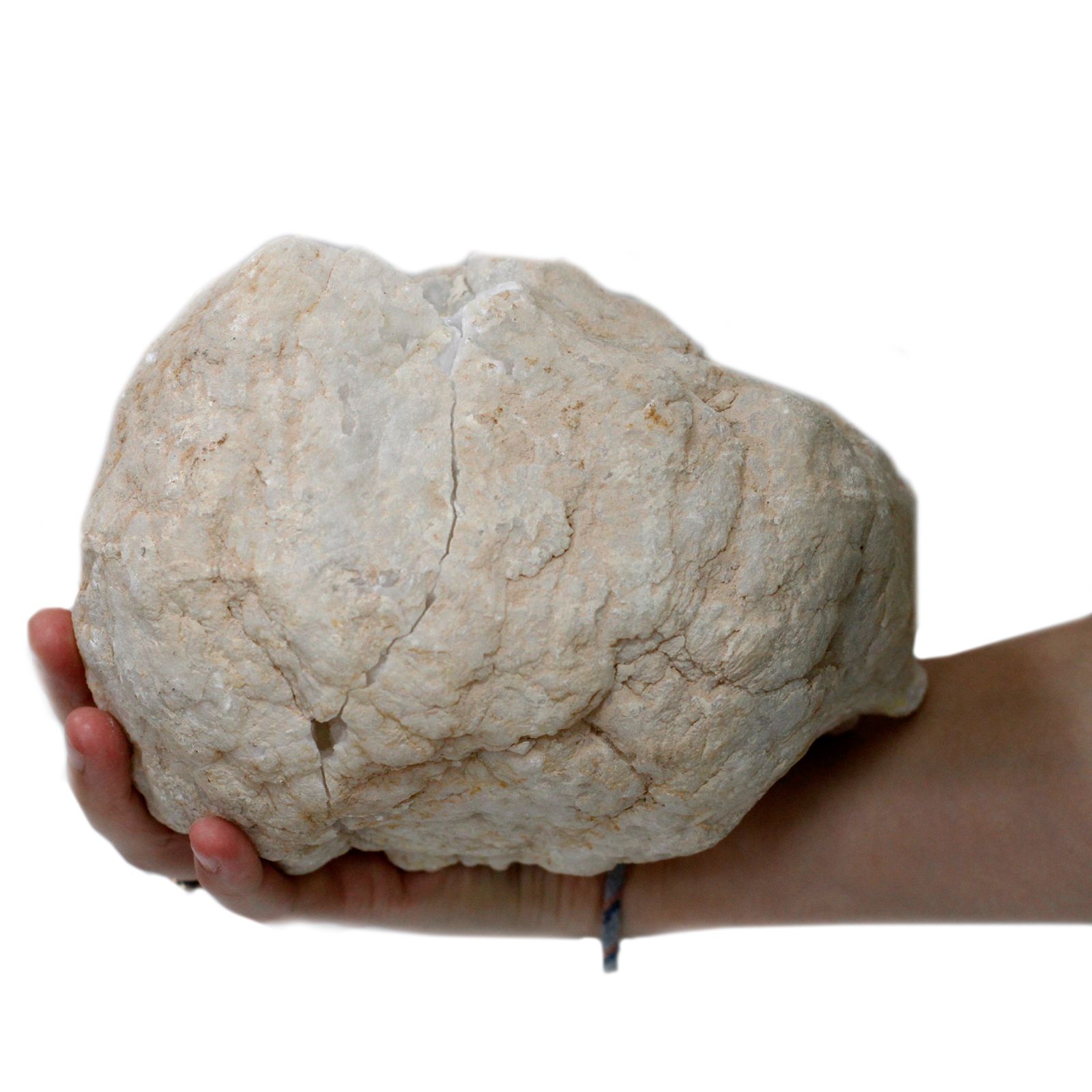 Image 6