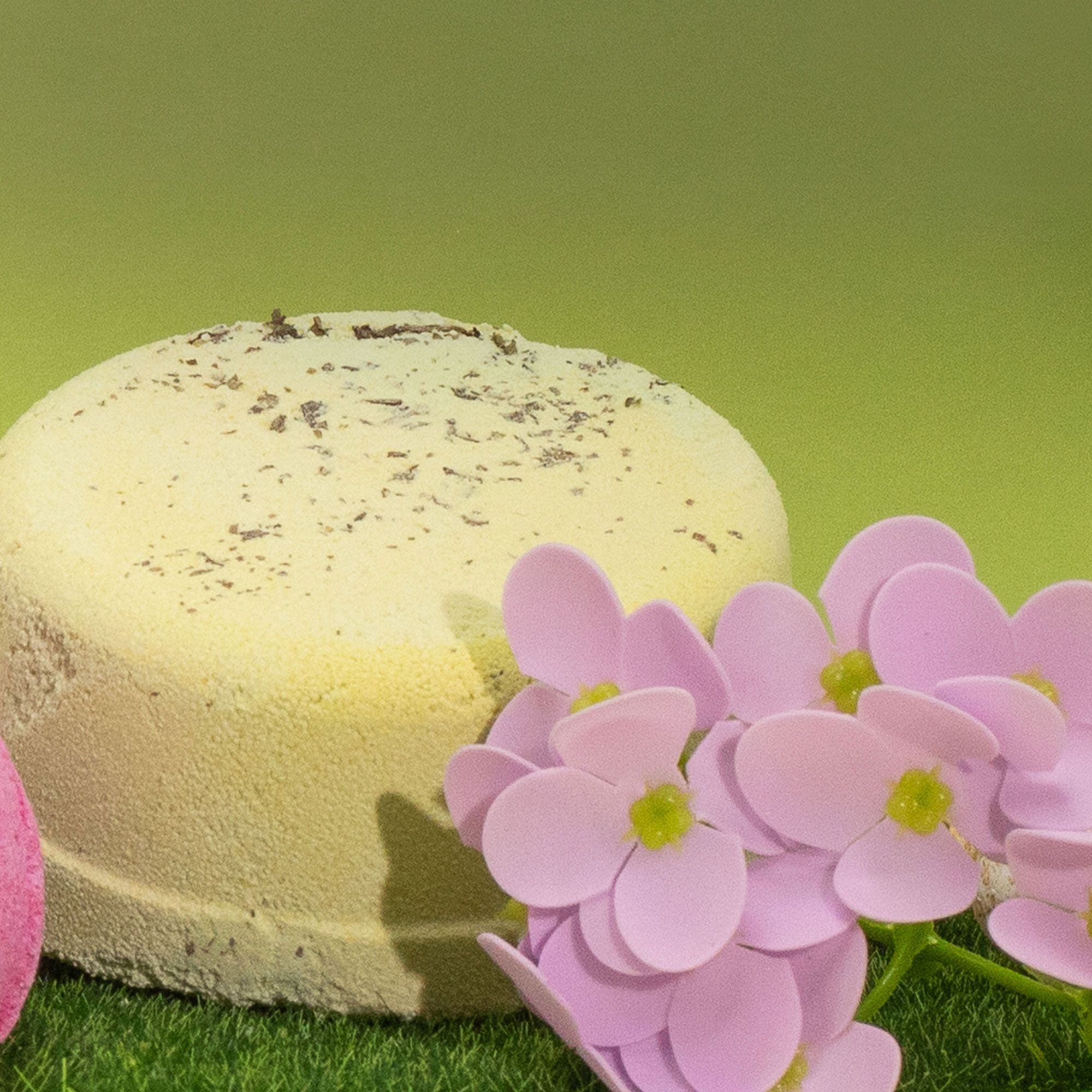 Cvjetne bombice za kupanje