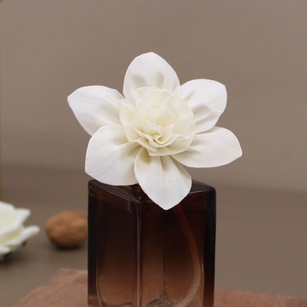 Natural Diffuser Flowers