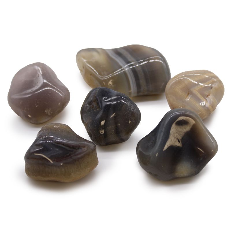 Tumble Stones Starter - twenty-five Box Tray Display