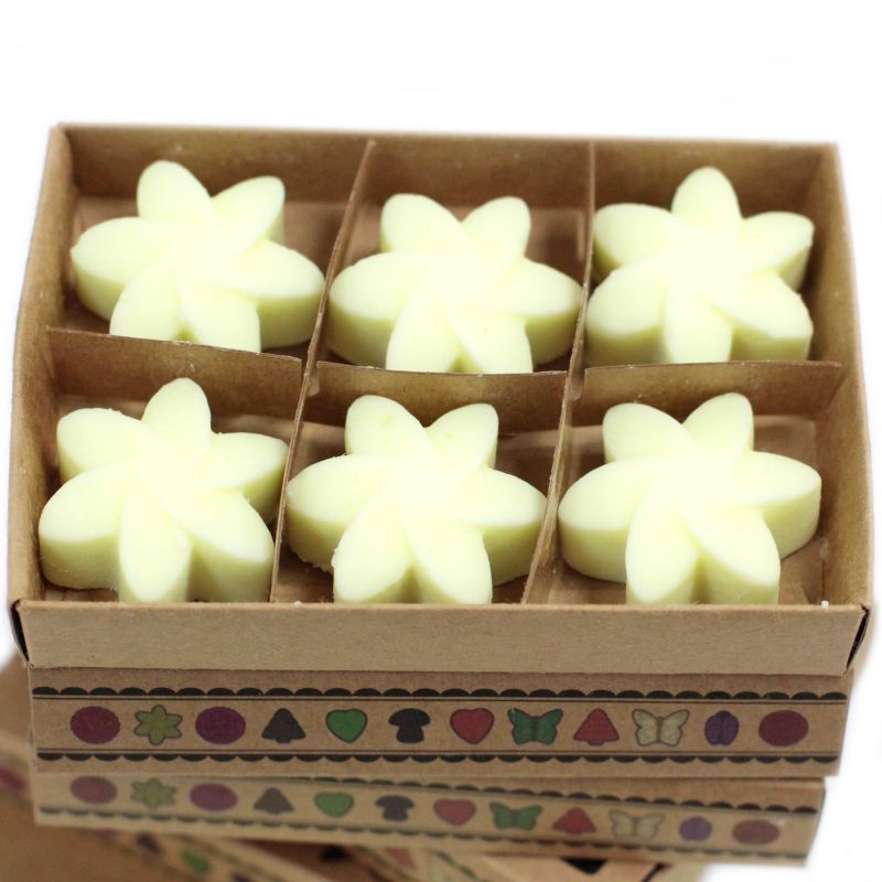 Boîte de 6 Fondants en Cire Soja - Récolte de citron