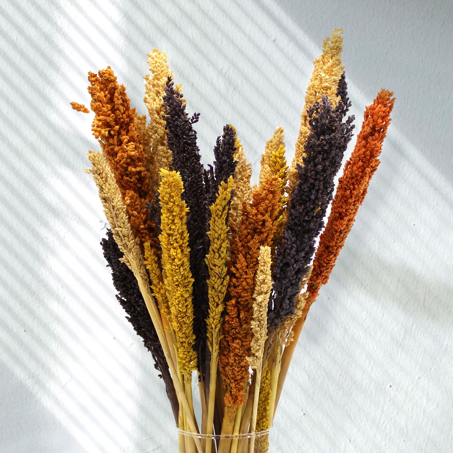 family image
