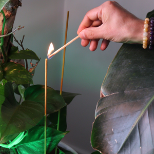 Biofresh Garden Incense Sticks