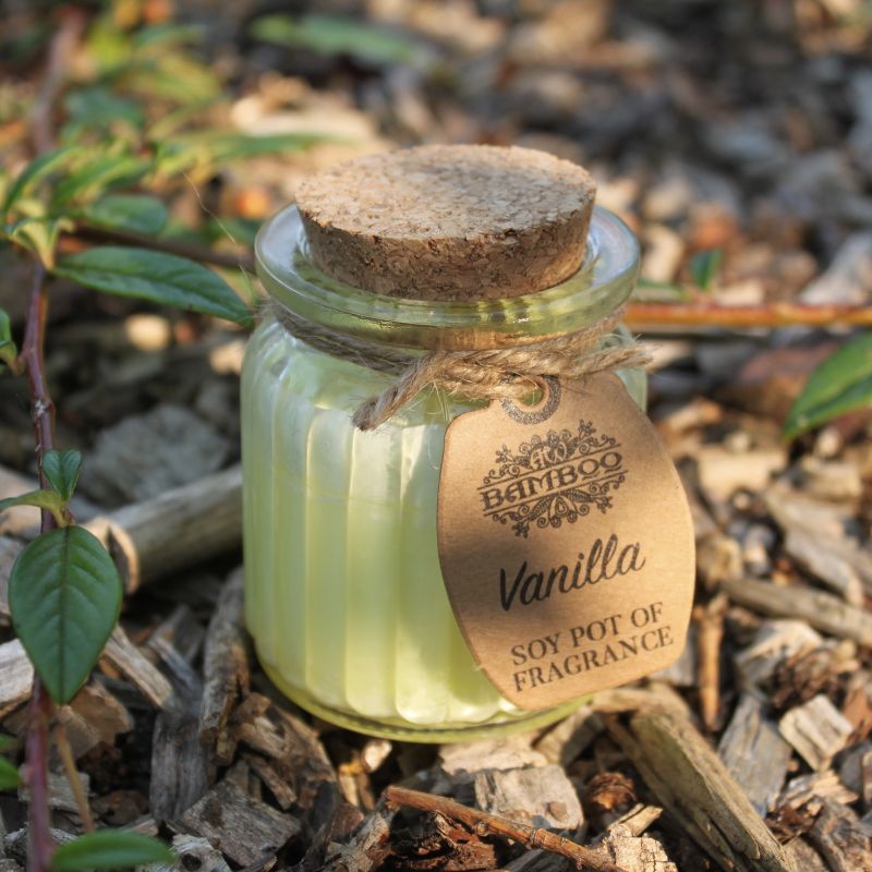 Soy Pot of Fragrance Candle Starter