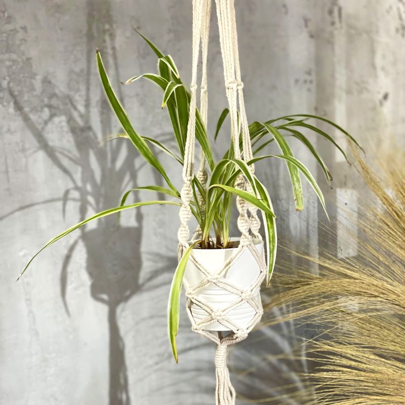 Suspension Macramé pour Plantes - Pot Large - Extra long