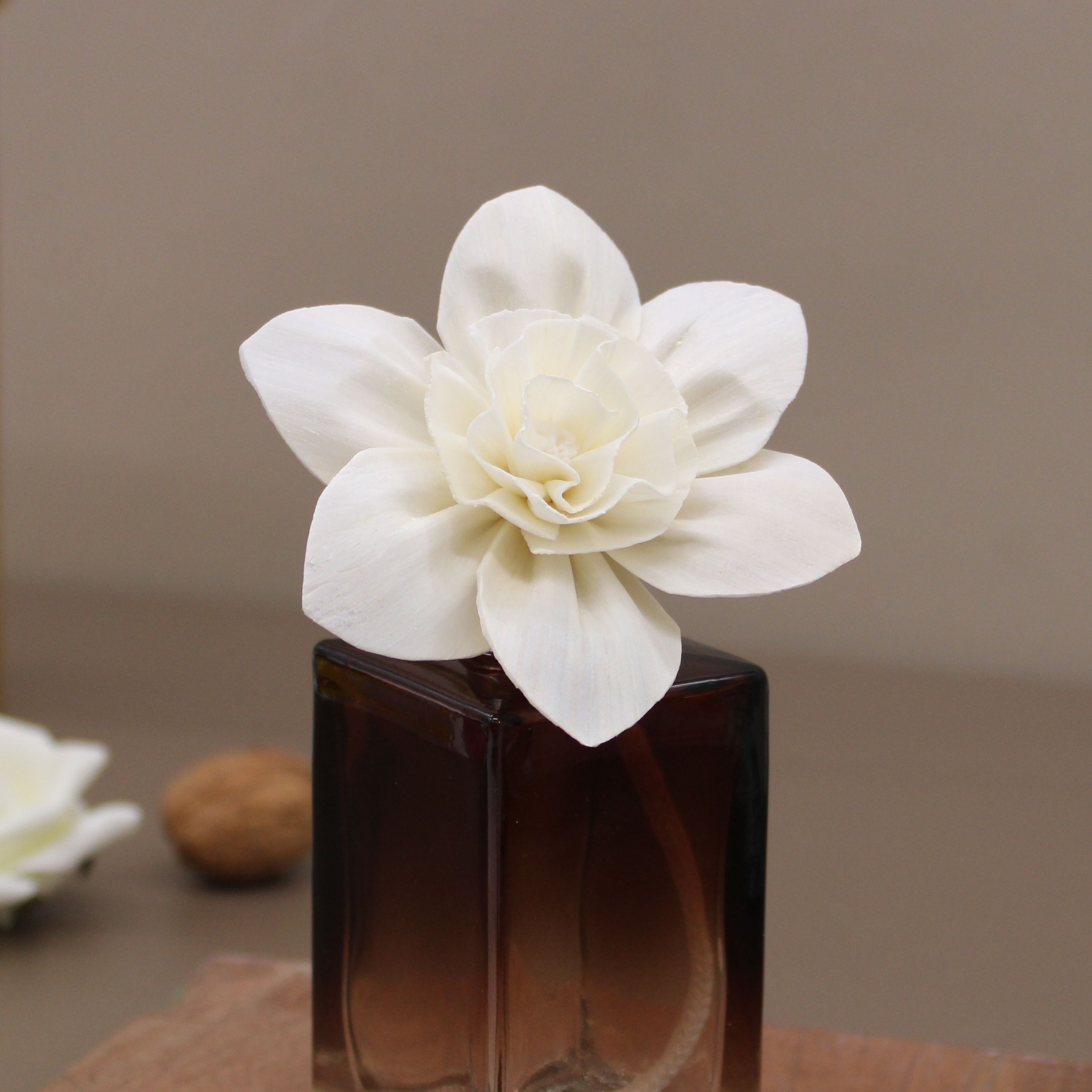Natural Diffuser Flowers