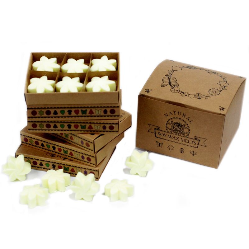 Boîte de 6 Fondants en Cire Soja - Récolte de citron
