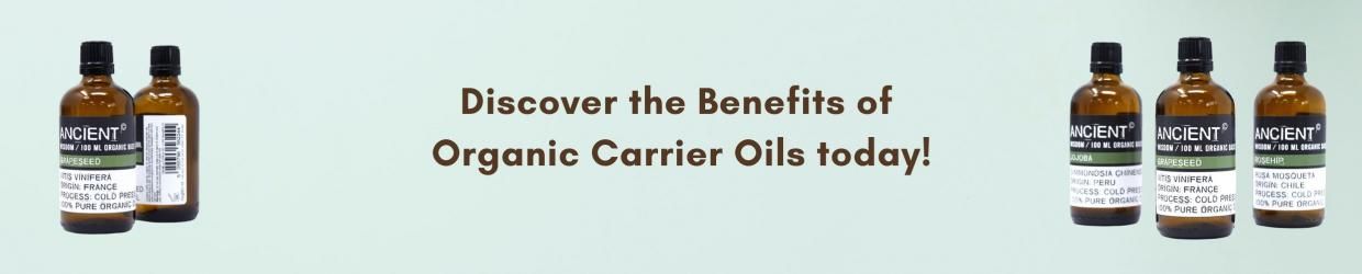 Jojoba Organic Base Oil - 100ml