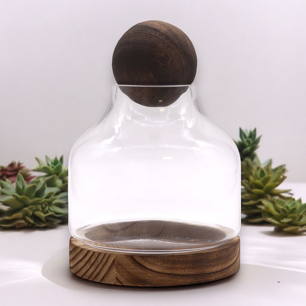 Terrário Médio em Madeira de Tung Escura com Tampa Esférica - 17x22 cm