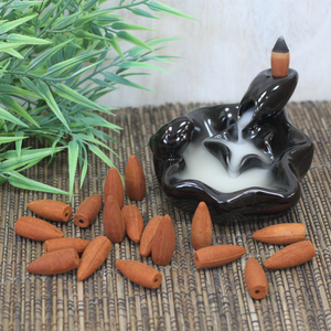 Back Flow Incense Cones 500g