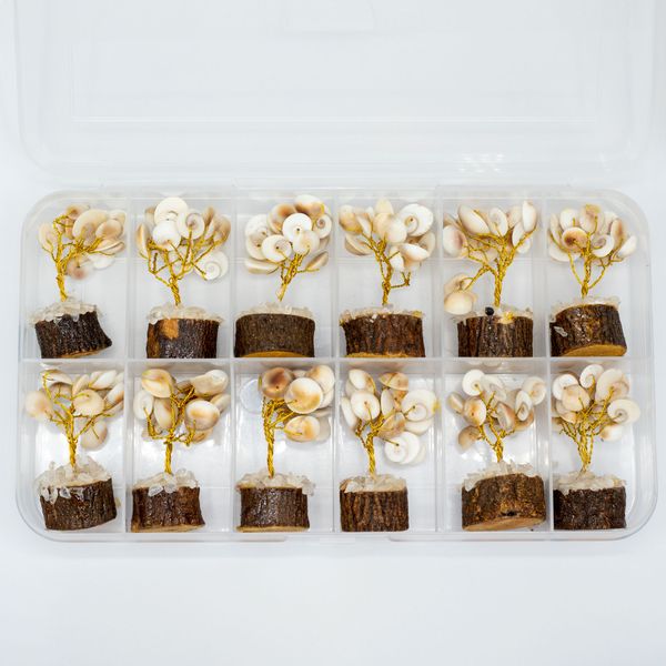 Small Gomati Chakra Circle Stone Trees-(15 stones)