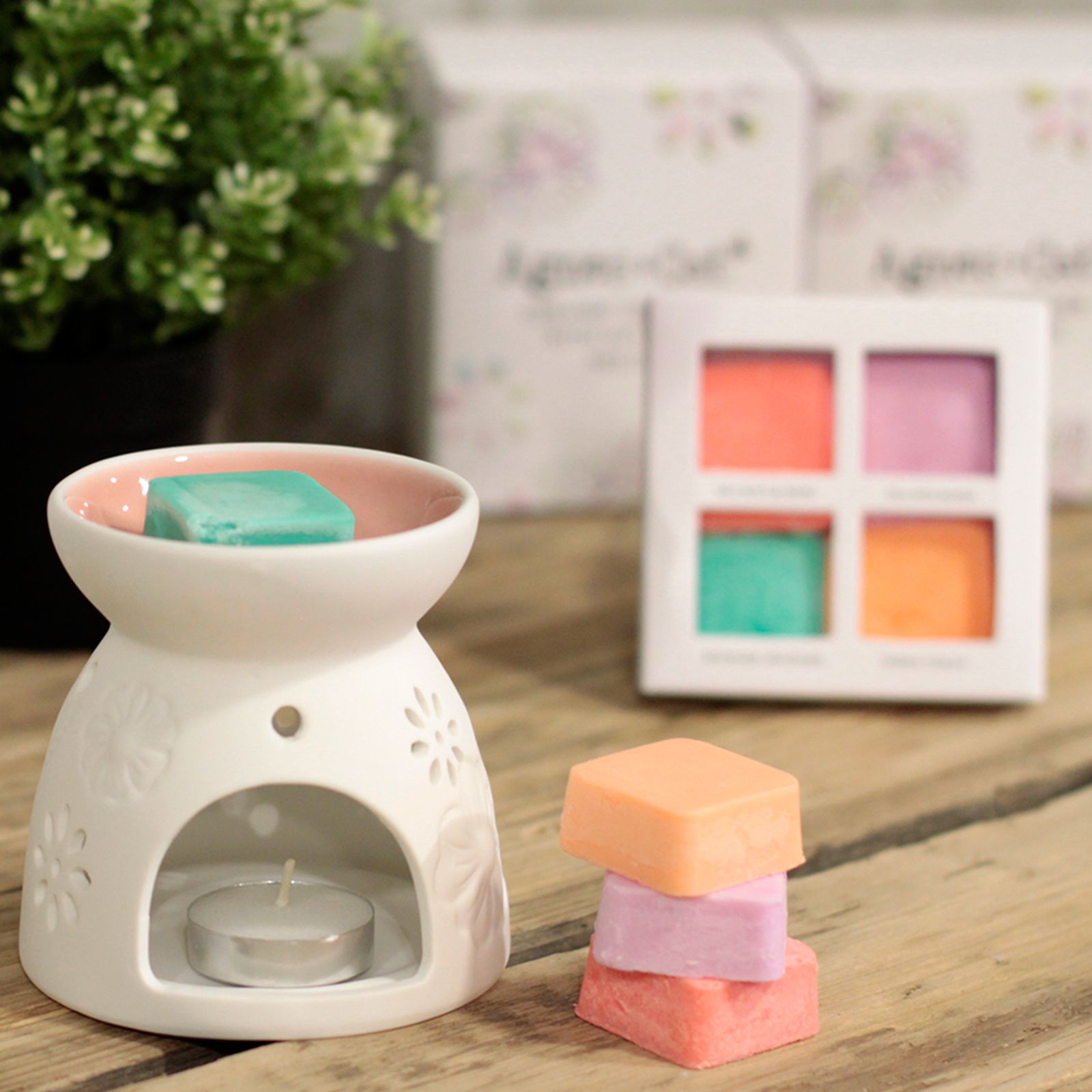 Wax Melter with Four Soy Wax Melts