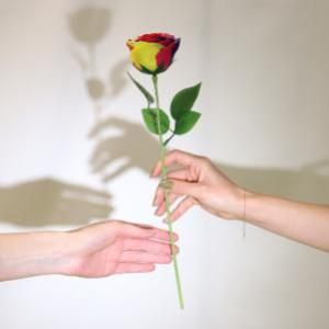 Flores de Jabón