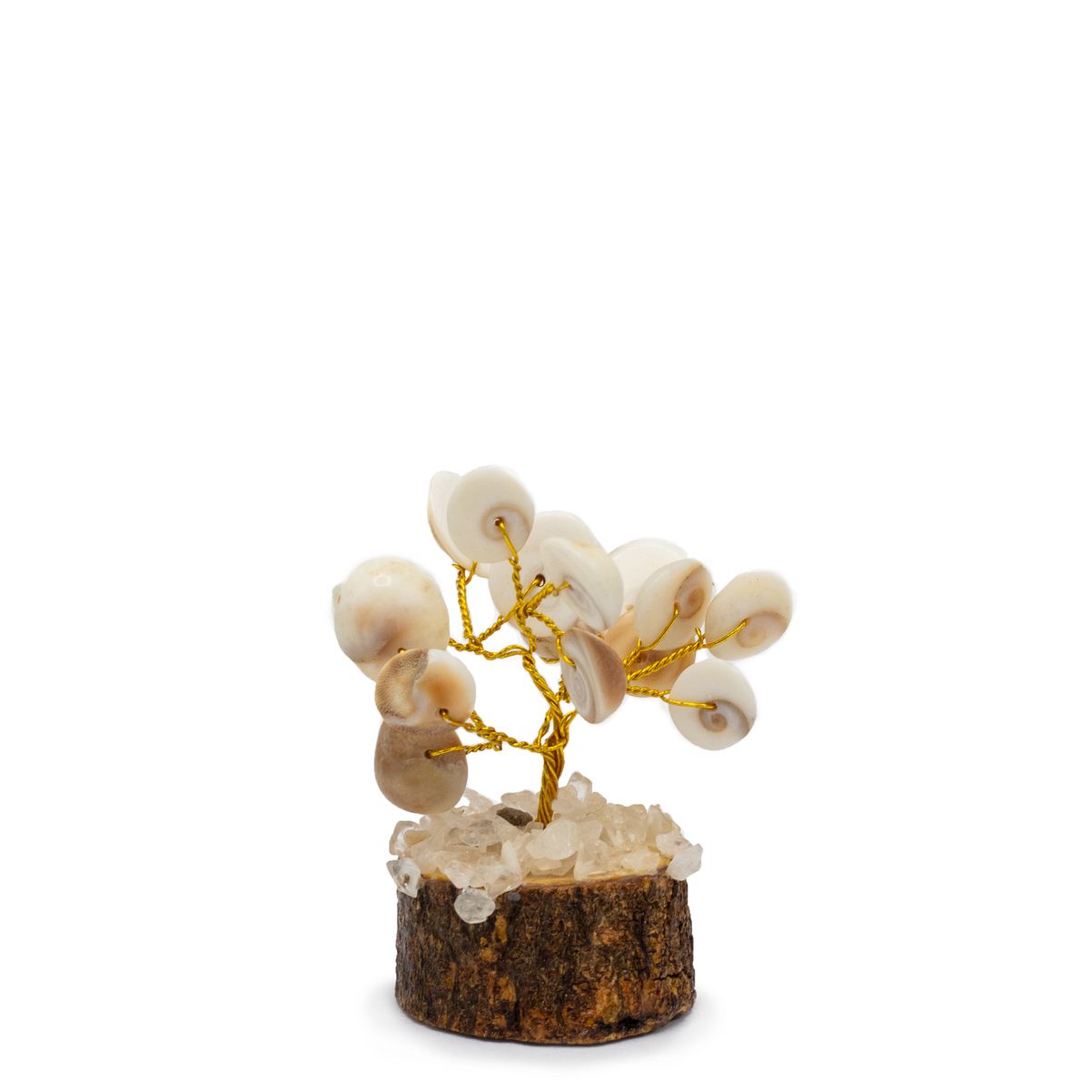 Pequeno Gomati Chakra Árvores de Pedra Círculo com Rudraksha - (15 pedras)