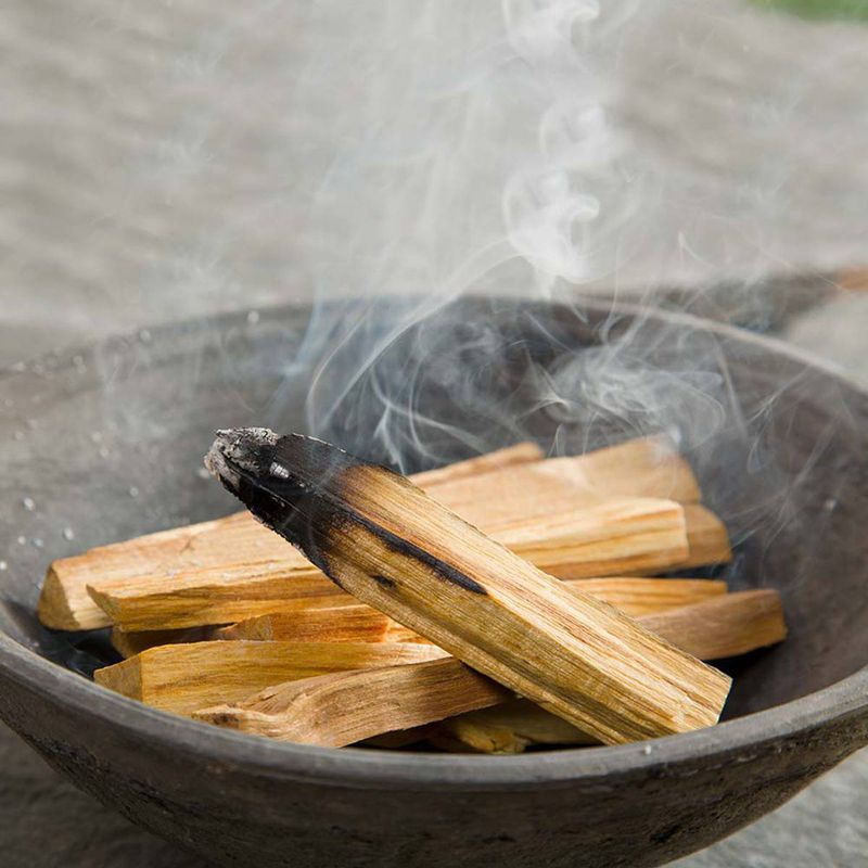 100g Palo Santo Arbre Vert 10-15 Bâtonnets