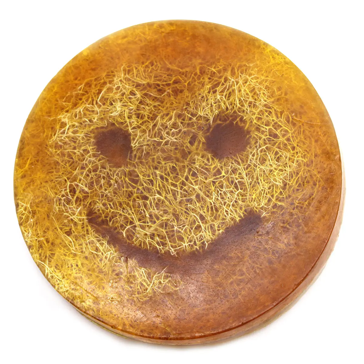Happy Scrub Soap - Pinacolada — Soap · GlowDuty apothecary