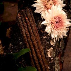 Varillas de Incienso Botánico