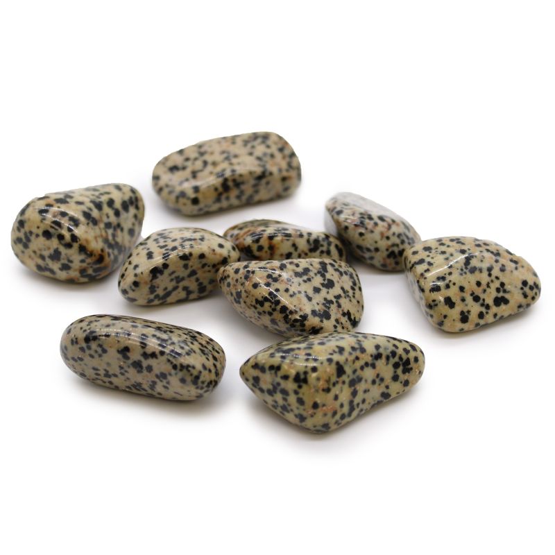 Extra Large Tumble Stones Starter