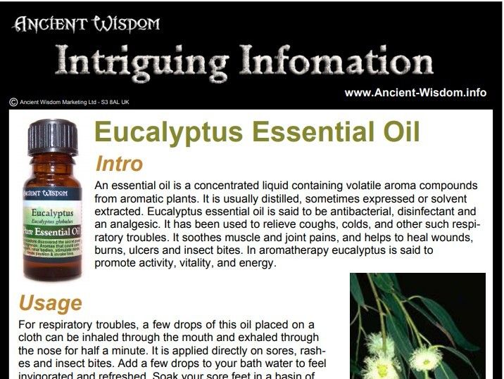 Eucalyptus Essential Oil Info