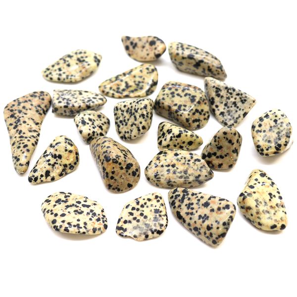 L Tumble Stones - Dalmata