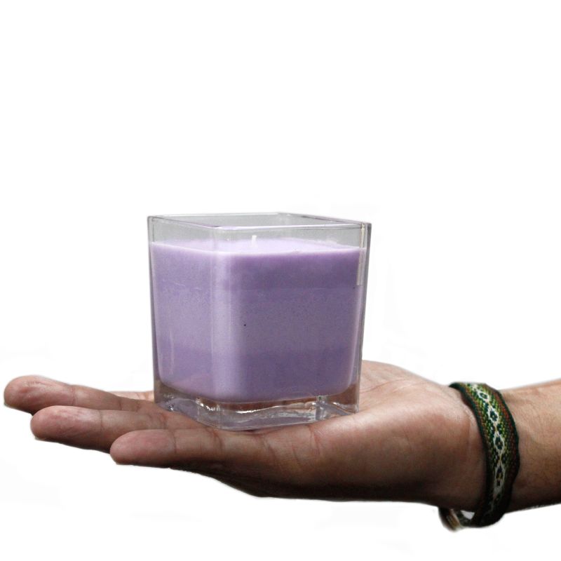 Bougies Cire de Soja Sans Étiquette- Concombre & Menthe
