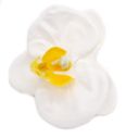 Craft Soap Flower Paeonia White - Decorative Soap Gift