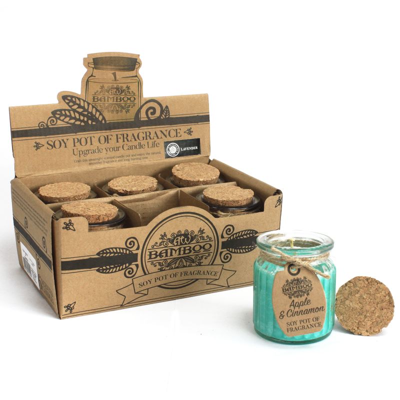 Soy Pot of Fragrance Candle Starter