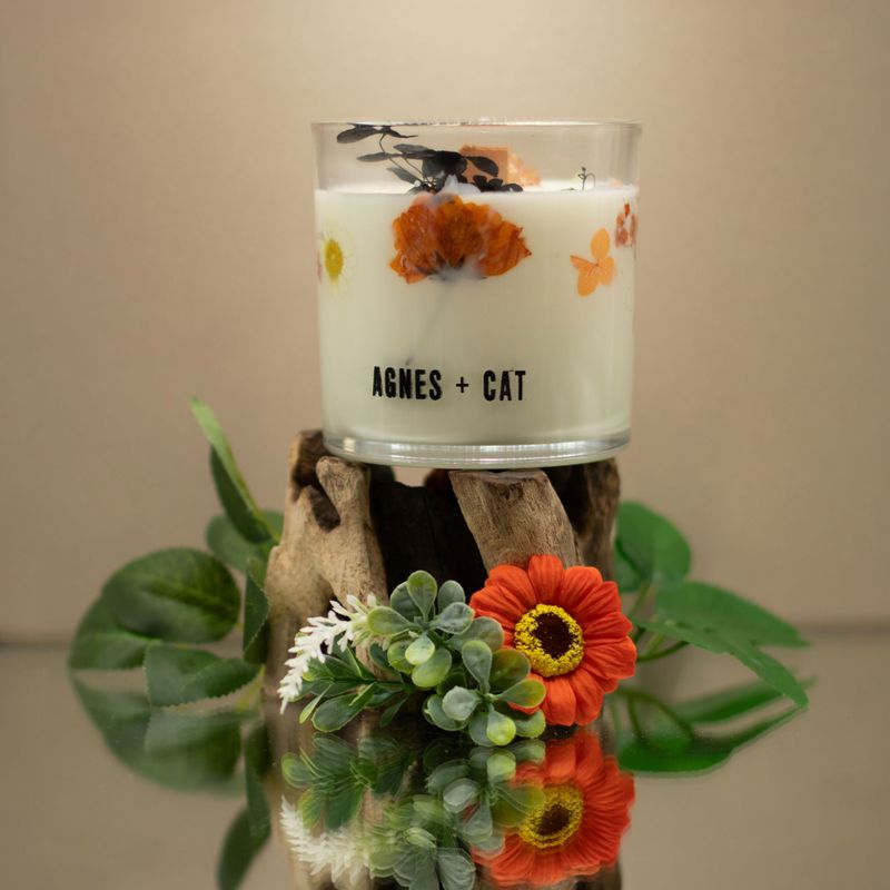 Agnes + Cat Extra Large  Crackle Soy Candle - Lakeland Mocha