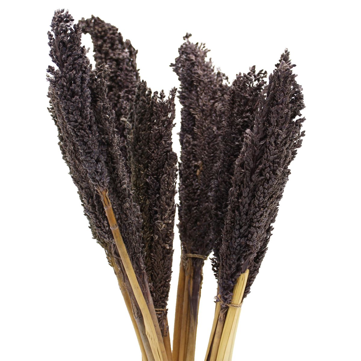 Molho de ervas Cantal - Preto