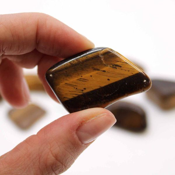 L Tumble Stones - Tiger Eye - Gold