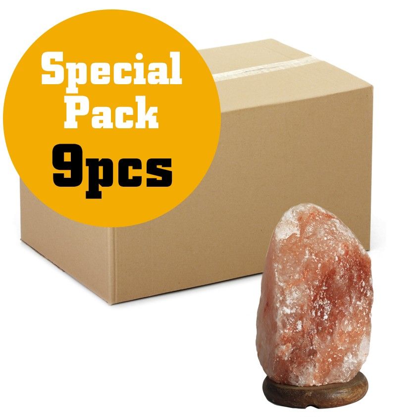Quality Salt Lamp Bulk 2-3kg EU Cable