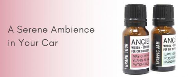 10ml Aromatherapy Car Blend - Focus & Drive